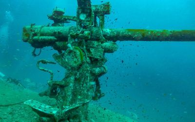 Diving The HTMS Sattakut Shipwreck In Koh Tao, Thailand