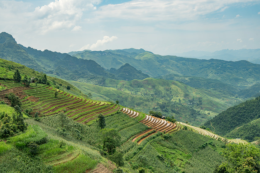Rice Terraces On QL4C, Vietnam