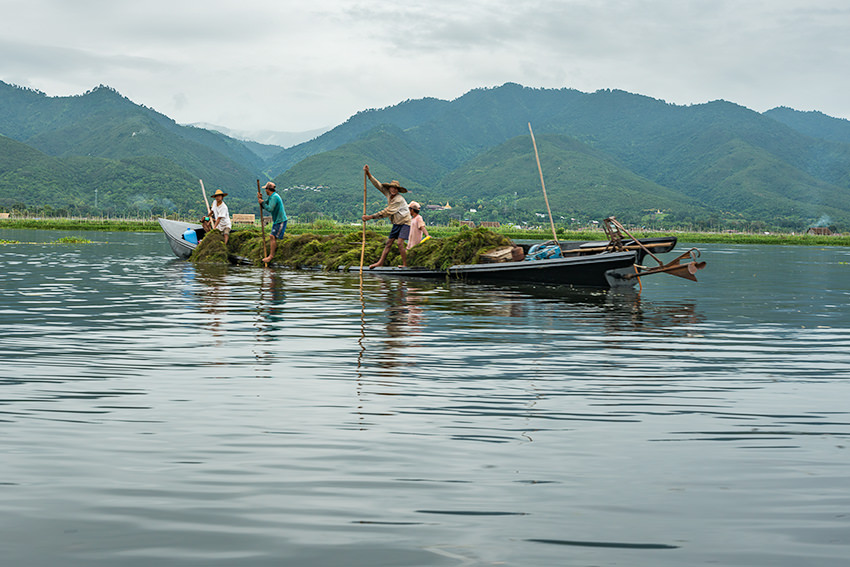 Inle Lake Seaweed Farmers, Myanmar